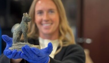 Tampa federal agents seize 22,000 ancient artifacts in one of agency’s largest busts