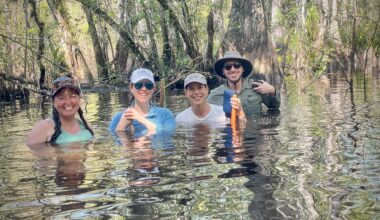 Six Mile Cypress Slough wet walks and boardwalk