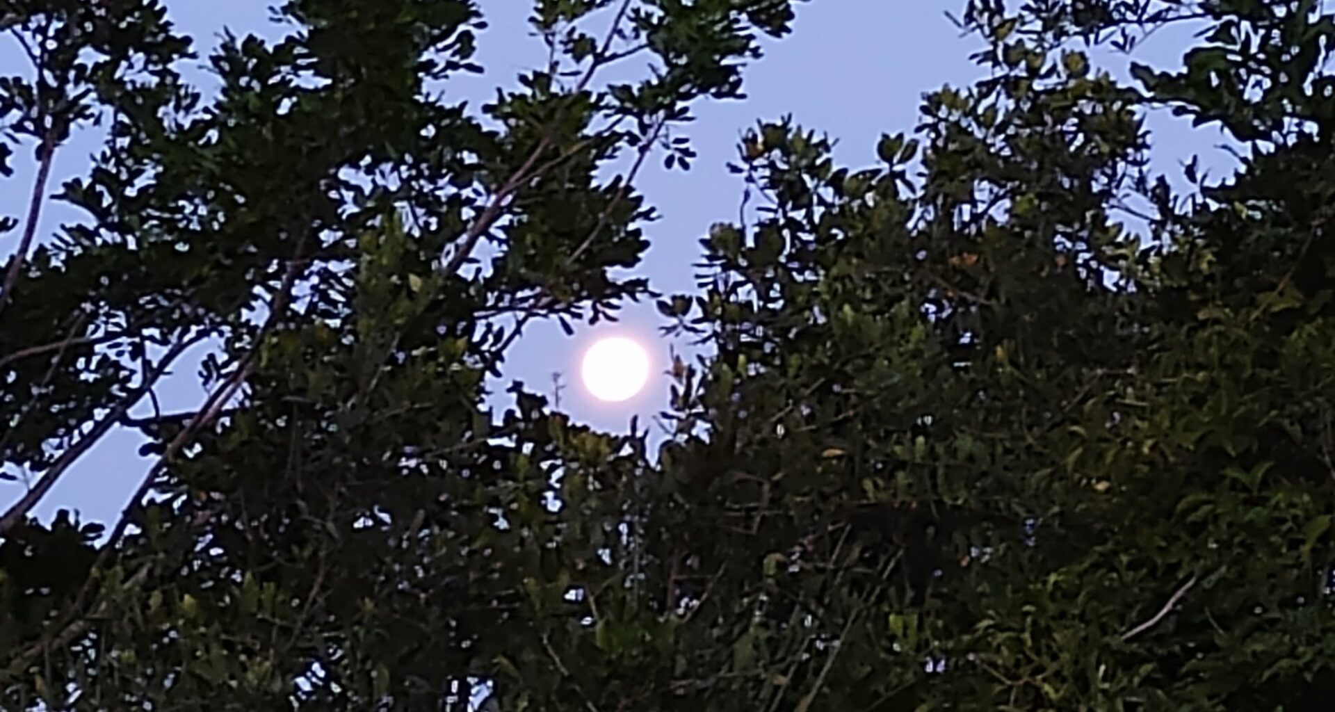 Moonlit Paddle And Fright Fest Offer Adventure At Camp Bayou