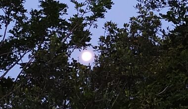 Moonlit Paddle And Fright Fest Offer Adventure At Camp Bayou