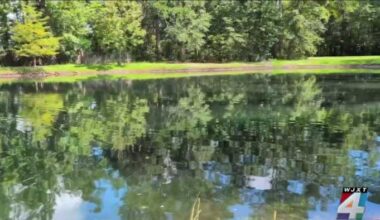 Family sues Jacksonville senior apartment complex after 85-year-old drowns in retention pond
