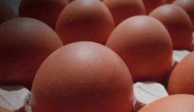 Nearly 6 million free eggs are coming to Florida. Here’s why