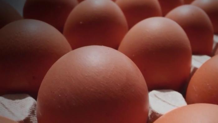 Nearly 6 million free eggs are coming to Florida. Here’s why