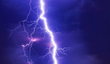 2 people apparently struck by lightning on Florida trail