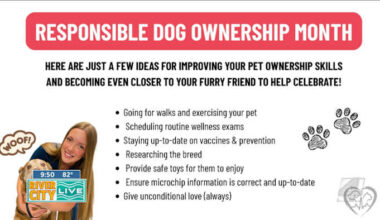 ‘Help pets live longer, healthier lives’ — Forever Vets is making that mission a reality across