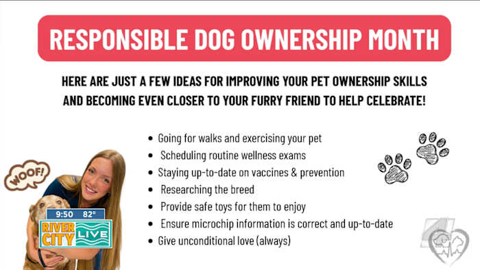 ‘Help pets live longer, healthier lives’ — Forever Vets is making that mission a reality across