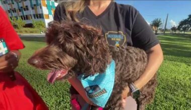 K9 Frisbee Worldwide Championship regional comes to Jacksonville: How to watch, get involved