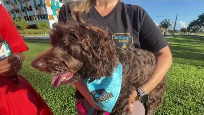 K9 Frisbee Worldwide Championship regional comes to Jacksonville: How to watch, get involved