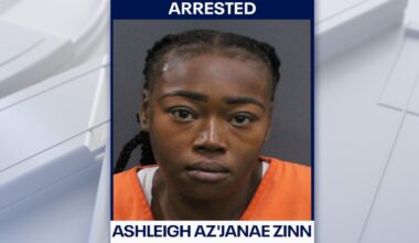 Flock cameras help police arrest woman in deadly St. Pete hit-and-run: SPPD