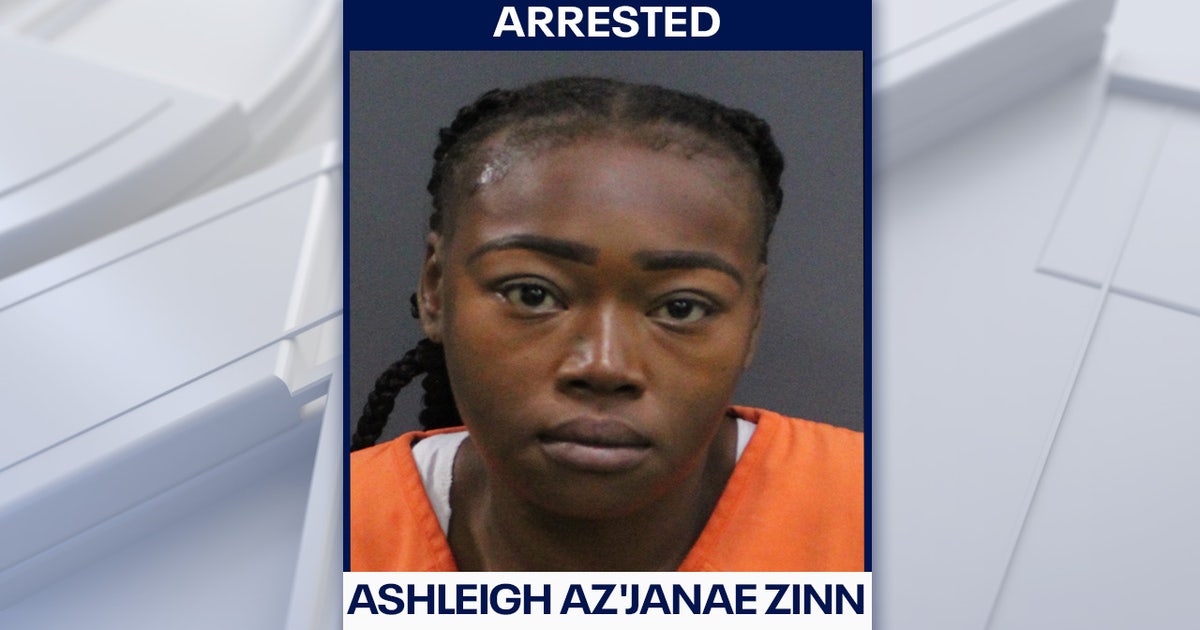 Flock cameras help police arrest woman in deadly St. Pete hit-and-run: SPPD