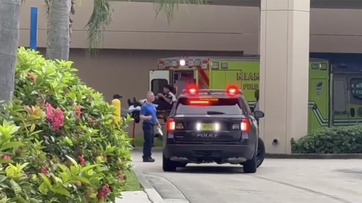 Florida International University motorman injured in crash, officials say – NBC 6 South Florida