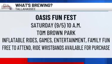 What’s Brewing - Oasis Fun Fest