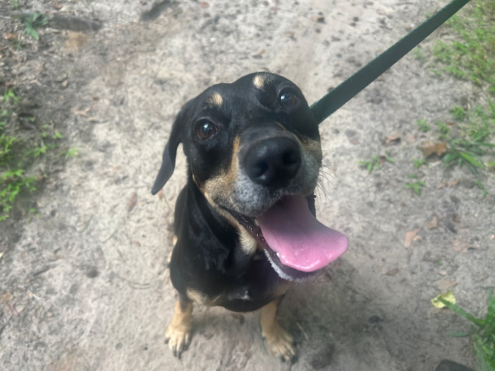 Kenney can sit ... at least for a moment... and his smile just gets bigger and bigger when...