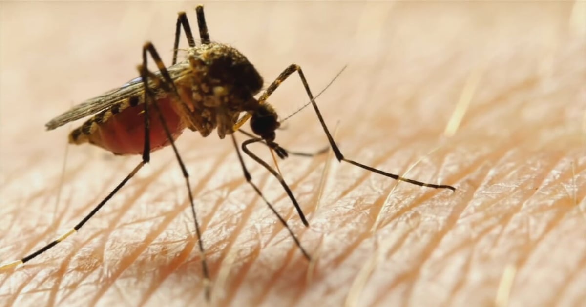 Orange County property tax reform could impact mosquito control
