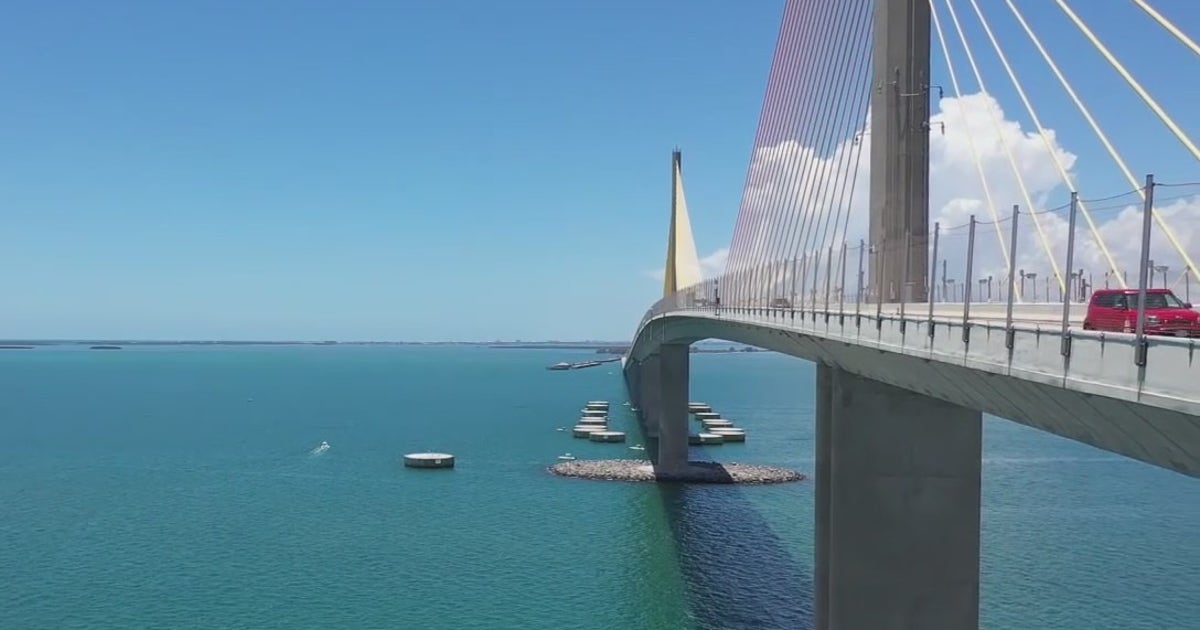Woman's remains found near Sunshine Skyway Bridge in Manatee County, deputies say