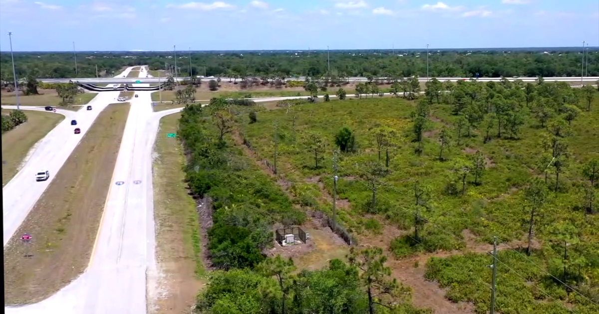 Charlotte County residents split on Buc-ee's plan along I-75 Peace River site | Charlotte County