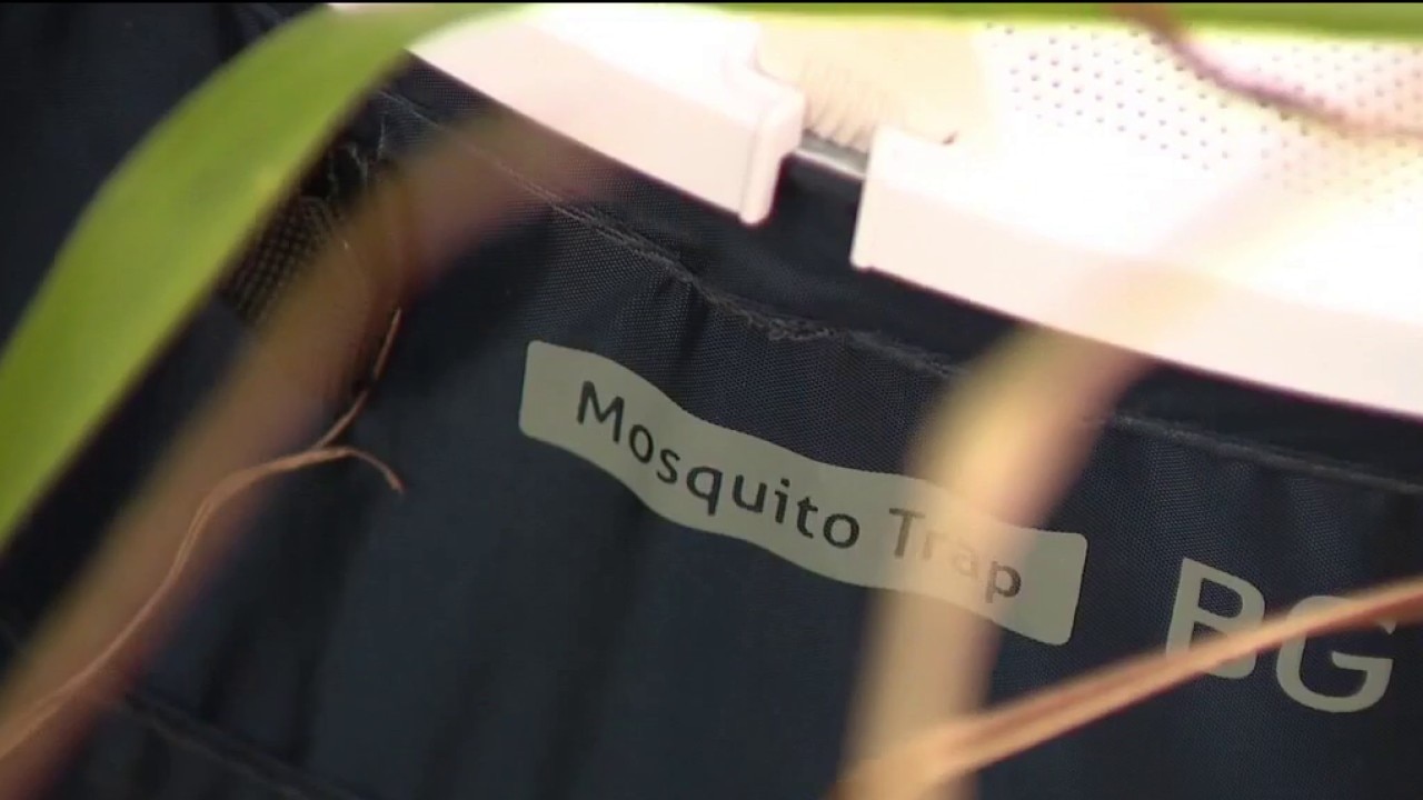 Health officials investigate possible dengue-related death