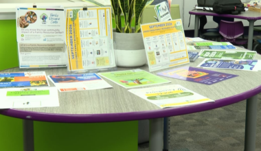 Experts weigh future of Florida’s child services with potential passage of Amendment 3