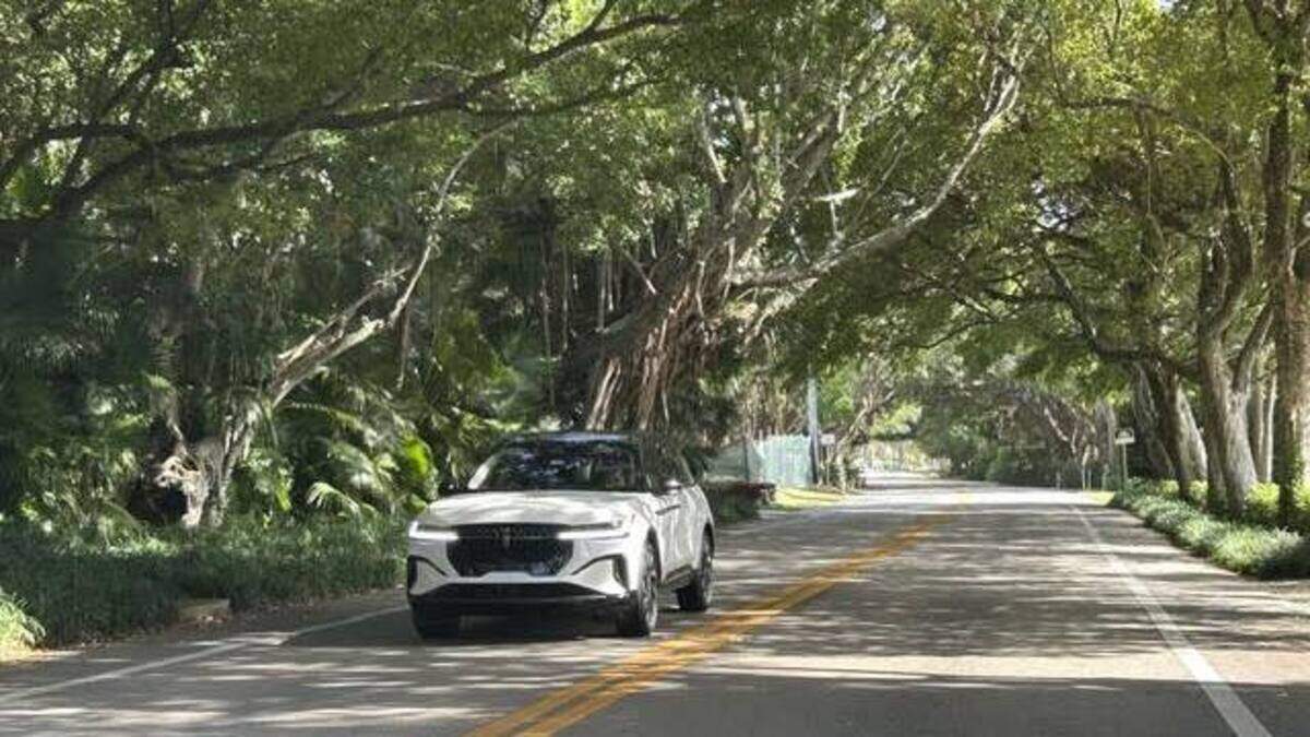 Along Hillsboro Mile, there are only about 47 estates under a canopied two-lane A1A. Along Hillsboro Mile, there are only about 47 estates under a canopied two-lane A1A.