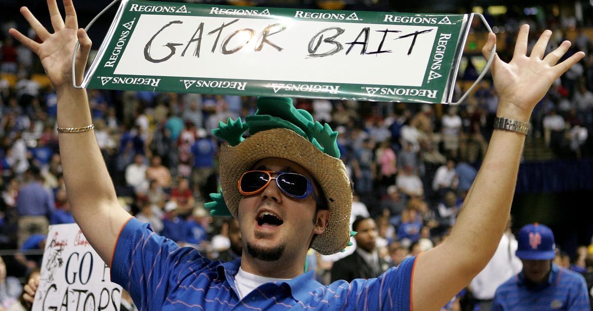 University of Florida brings back banned gator bait tradition