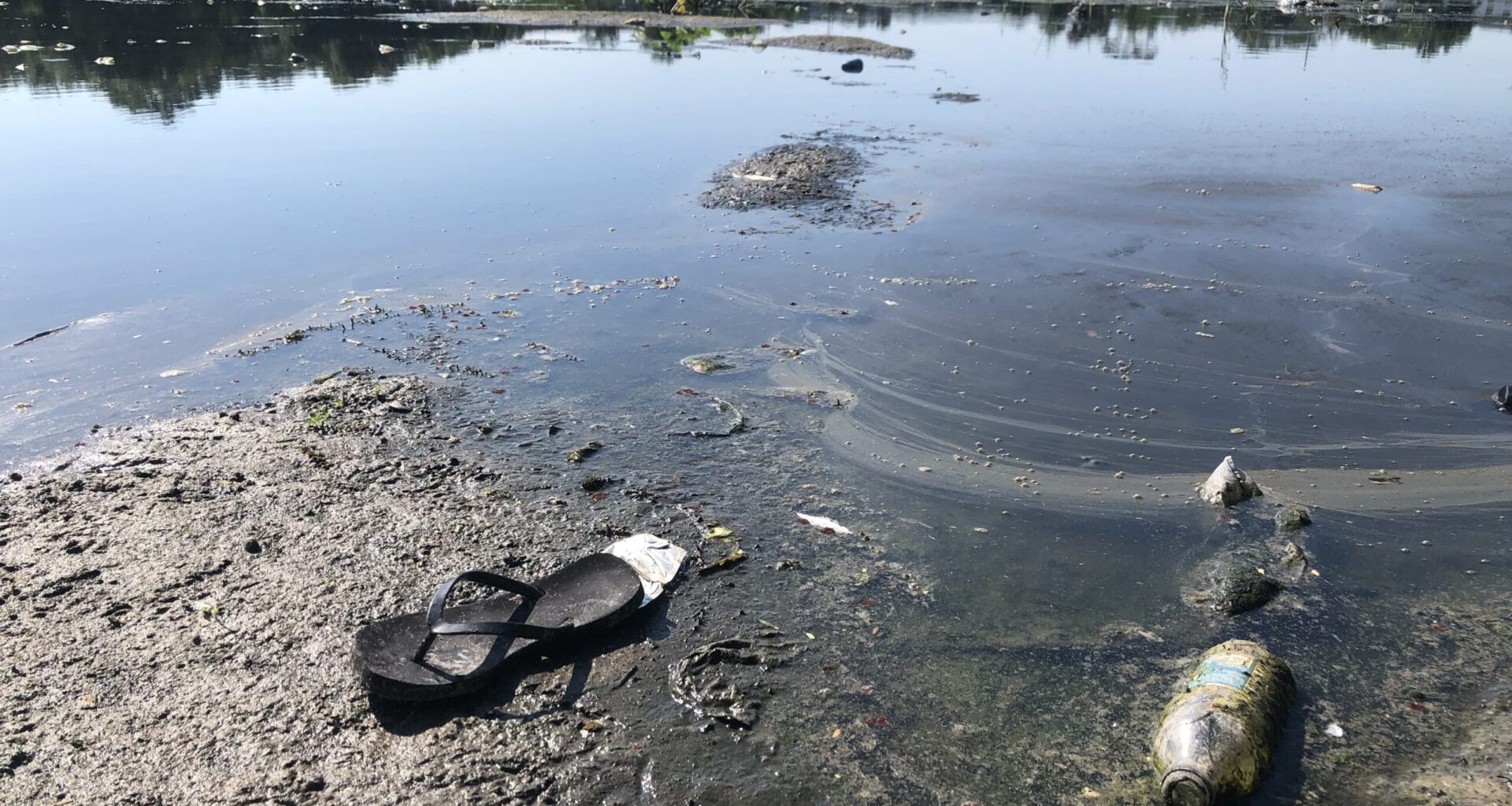 This is an image of Tampa's University Area's Aarans Pond.