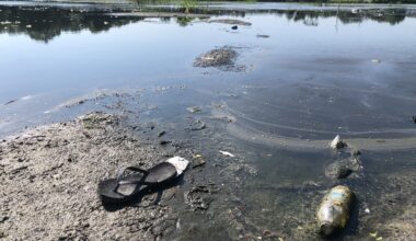 This is an image of Tampa's University Area's Aarans Pond.