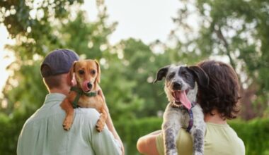 ACPS seeks dog fosters for 30-day heartworm recovery