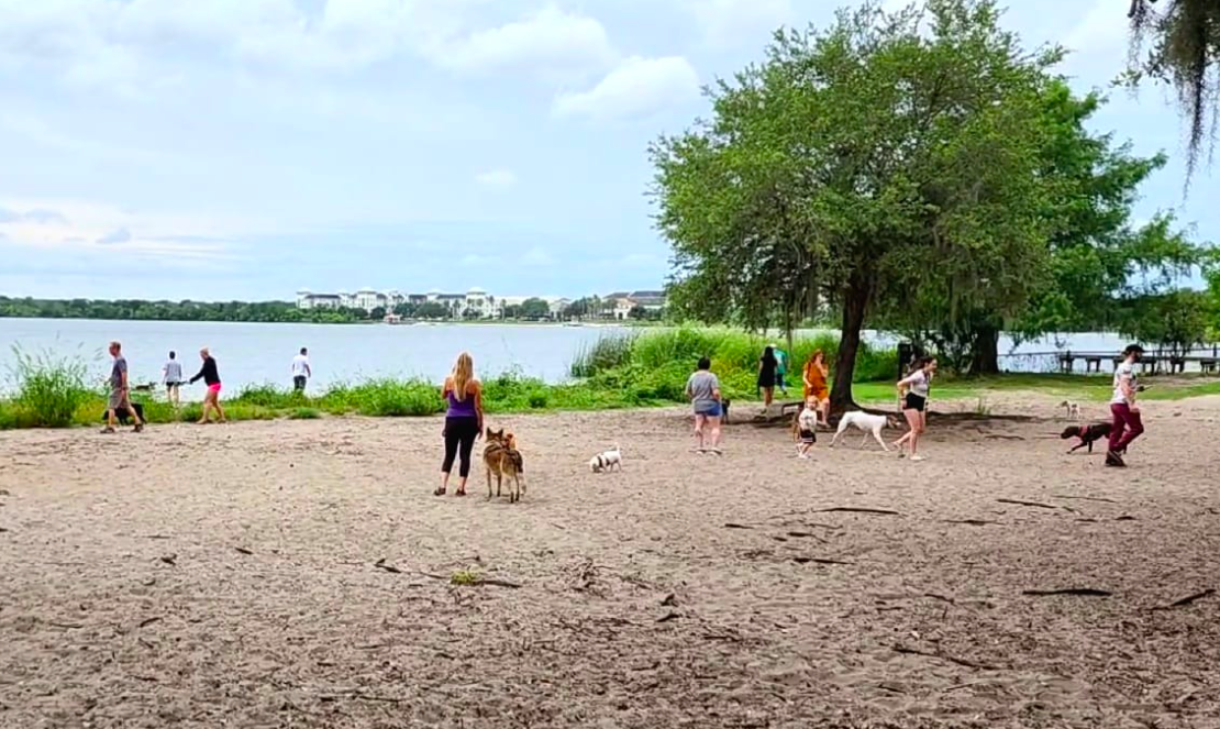 Winter Park advances plan for paid parking at Lake Baldwin Park, Dinky Dock