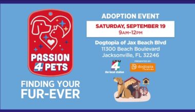 Find your fur-ever friend at Dogtopia of Jacksonville Beach Blvd’s Pet Adoption Event on Saturday, Sept. 19