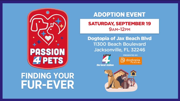 Find your fur-ever friend at Dogtopia of Jacksonville Beach Blvd’s Pet Adoption Event on Saturday, Sept. 19