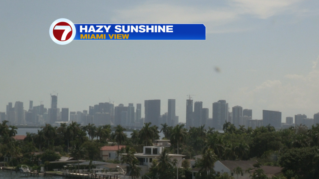 Not as Wet, for now - WSVN 7News | Miami News, Weather, Sports