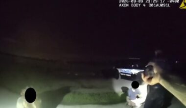 Florida shark-tooth hunt ends with 5 arrests