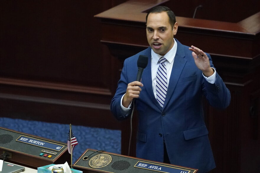 A man speaks during a legislative session at the Florida State Capitol.