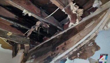 ‘I tried to prevent this’: Jacksonville woman says apartment ceiling collapsed while family slept