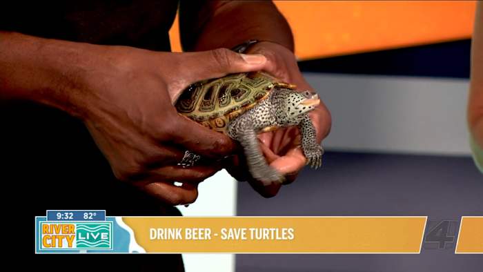 Drink beer, save turtles