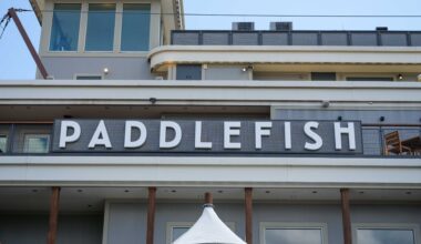 Paddlefish disney springs robbery