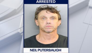 Florida man accused of beating puppy to death: CCSO