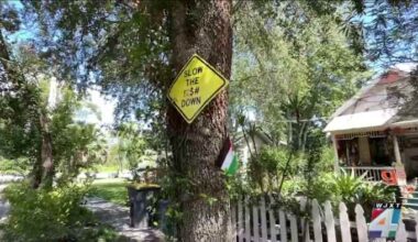 Repeated crashes along US-17 in Jacksonville prompt homeowners to protect their properties