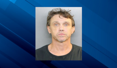 Man charged for allegedly killing a puppy, according to Charlotte County sheriff
