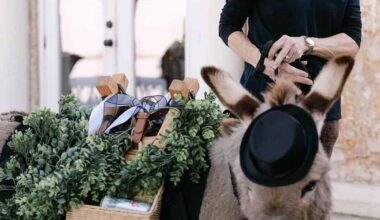 Tampa Beer Burros Bring Big Smiles To Special Events