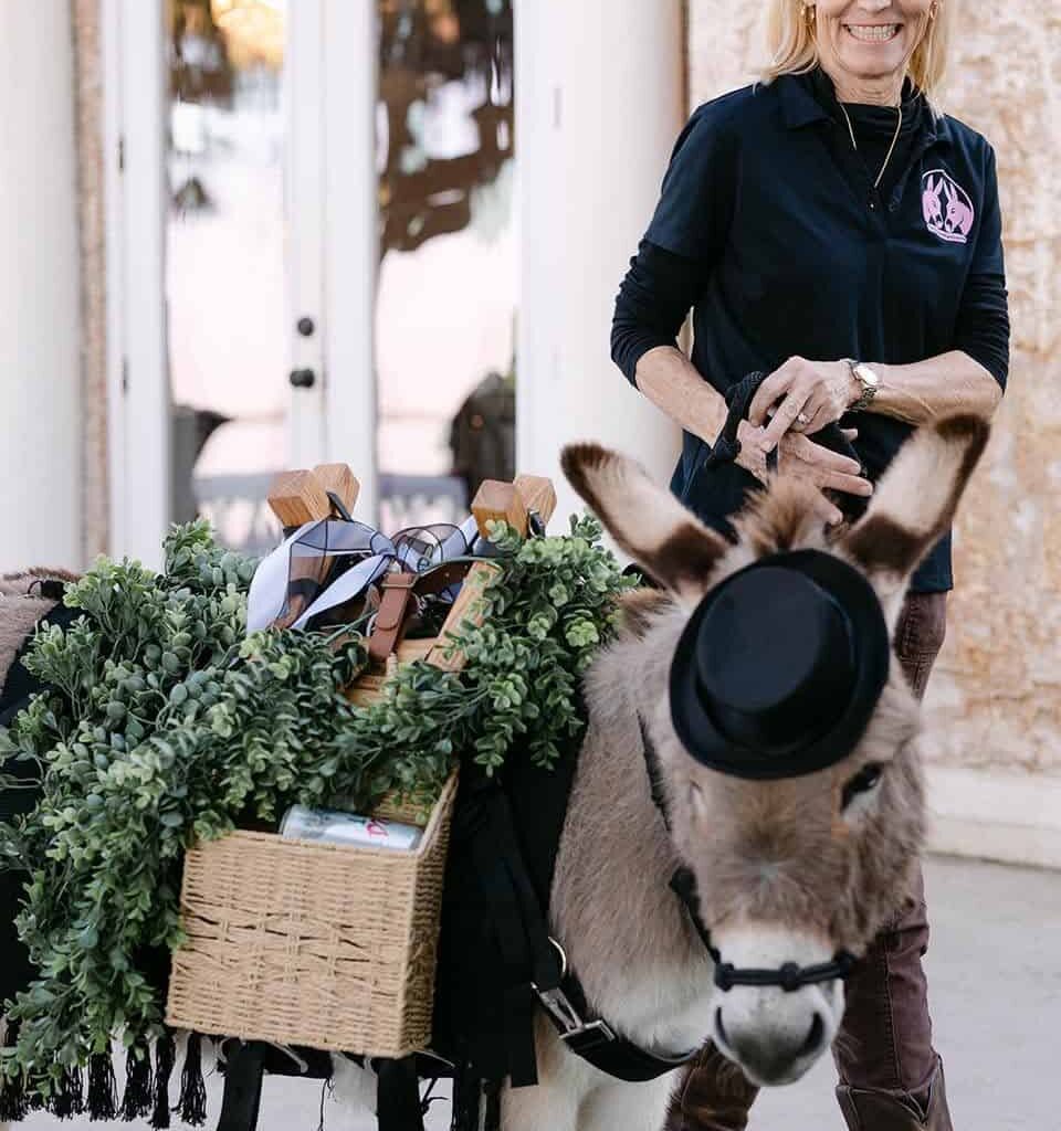 Tampa Beer Burros Bring Big Smiles To Special Events