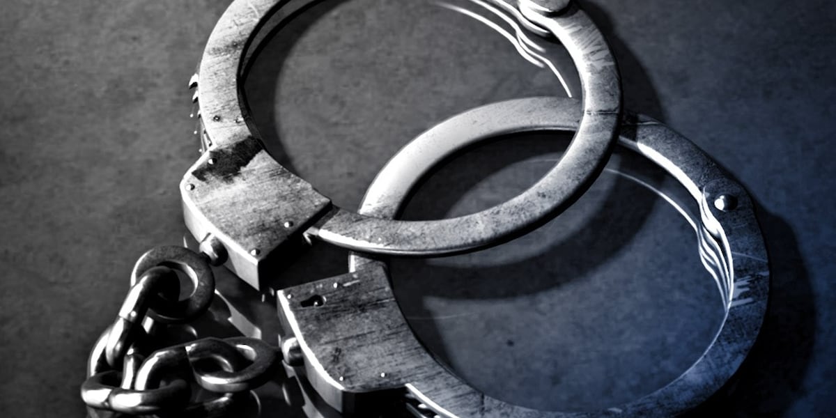 President of Leon County non-profit arrested, facing nine aggravated child abuse charges