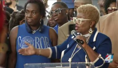 Jacksonville councilwoman calls for more safety measures after arrest in deadly shooting at Clanzel T. Brown Park