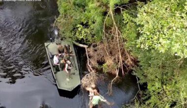 Video: Deputies rescue 2 men sitting on tree limb after boat capsized in Hillsborough River