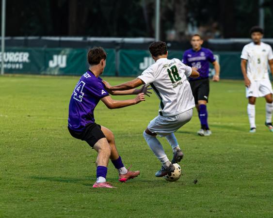 Dolphins Fall to Lipscomb, 1-0