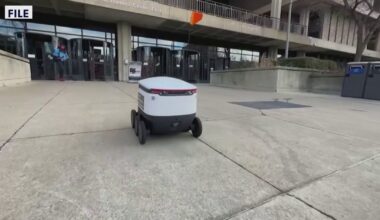 St. Petersburg City Council considers autonomous food delivery robots