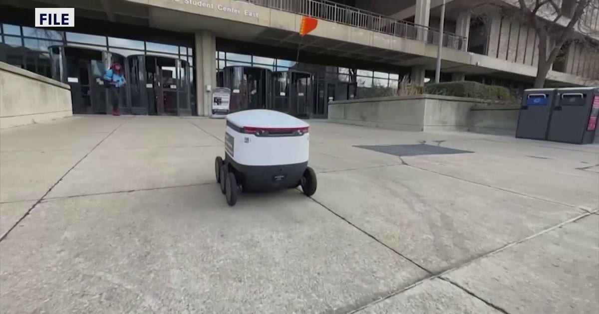 St. Petersburg City Council considers autonomous food delivery robots