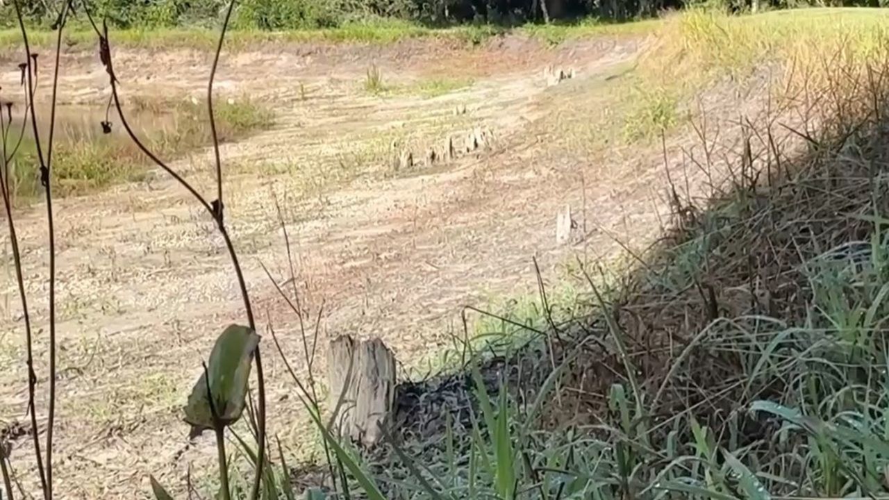 Water officials may extend water shortage order