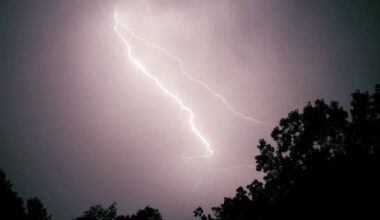 ‘Check the weather:’ Orlando doctor issues lightning safety warning after deadly Central Florida strikes