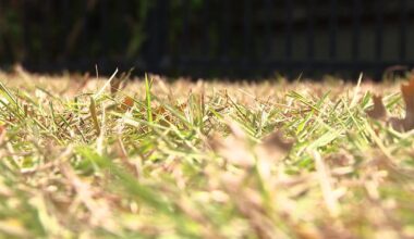 Tampa Bay area water restrictions extended through March 2027